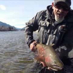 Video – Columbia River quality…..