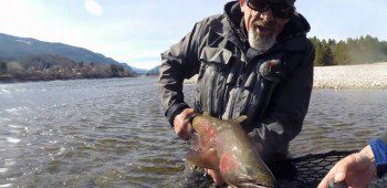 Video – Columbia River quality…..