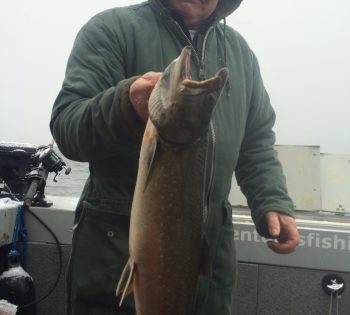 The Fishing Report – Jan 2017